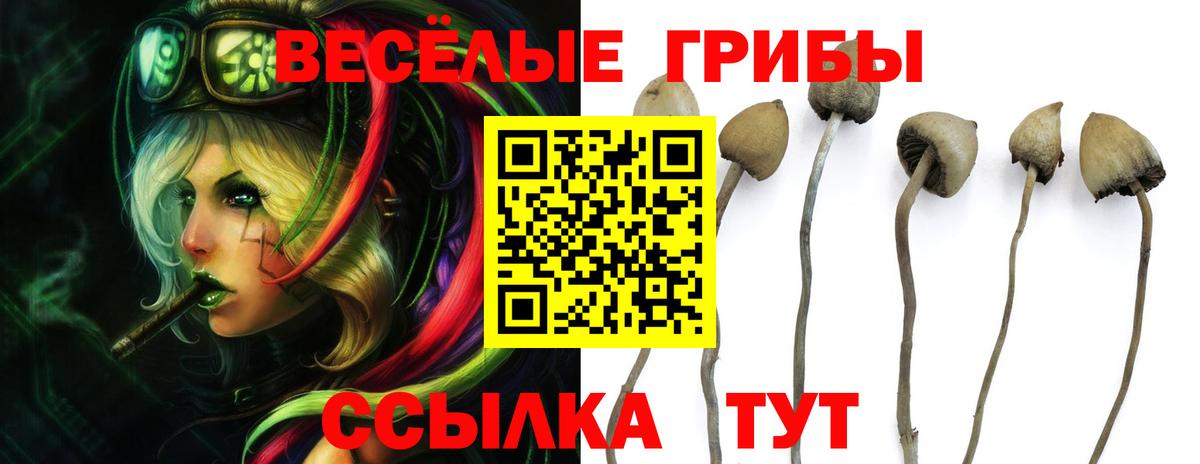Галлюциногенные грибы GOLDEN TEACHER Богородицк